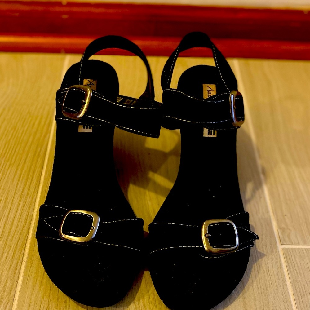 American Eagle Wedges